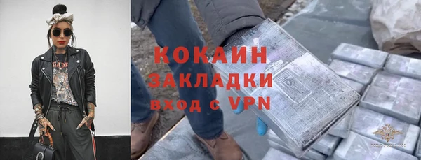 мдпв Козельск