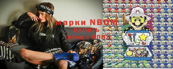 гашик Баксан
