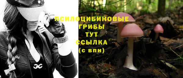 гашик Баксан